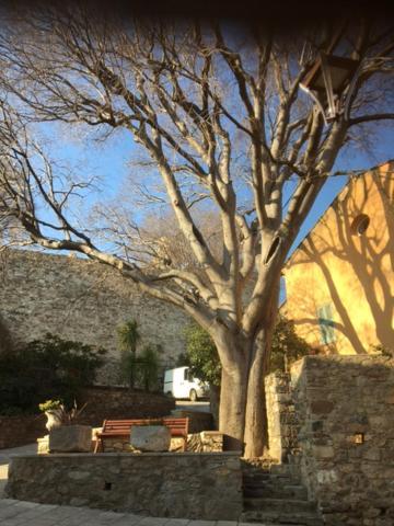 Logement Neuf Centre Du Village Aux Pieds Du Chateau Grimaud Eksteriør bilde